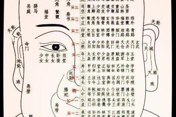 测面相：脸型解读与命运之间的神秘联系