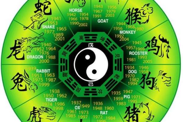 53年属什么命？揭秘1953年出生者的命理与个性特征！