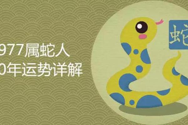 90年出生的人：金命与幸福人生的奥秘