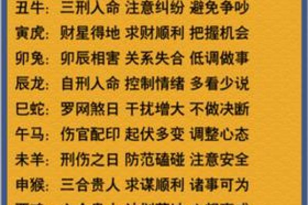 2023年出生宝宝命运解析：生肖、五行与个性发展