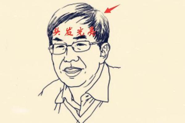 细发的命运：你知道你的头发暗示了什么吗？