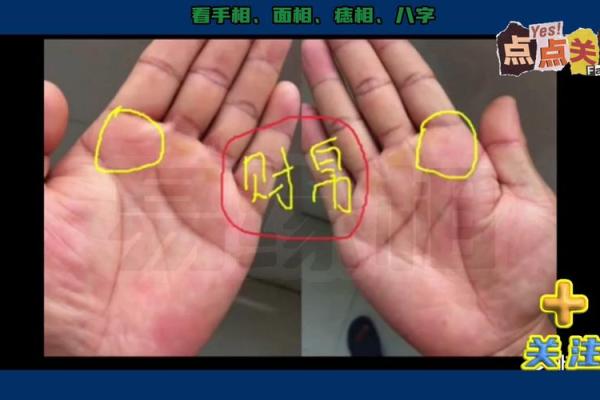 揭秘富贵命：看手相中的财富指引与人生潜能