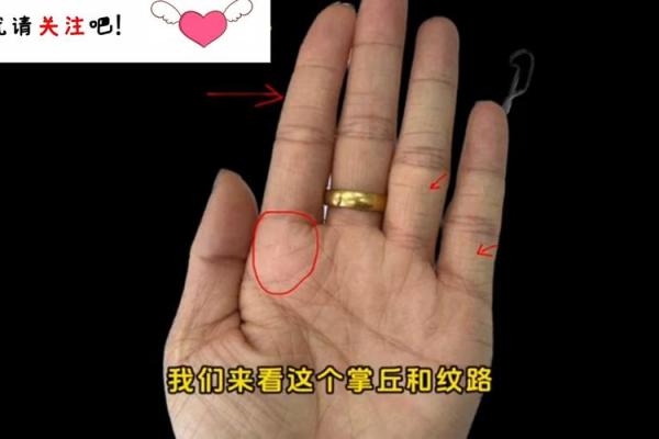 揭秘富贵命：看手相中的财富指引与人生潜能
