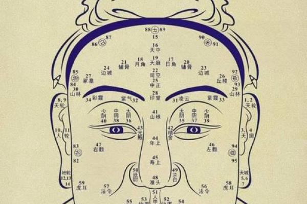 96年出生的男人命运分析：探索其五行命理与人生道路