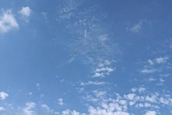 终是一命换一命，生命的价值与无限的深意
