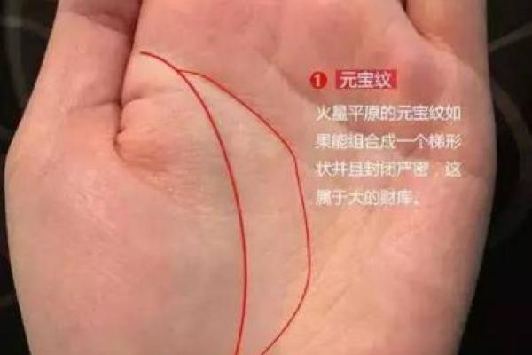 中国最贵命之人：命运与财富的交织