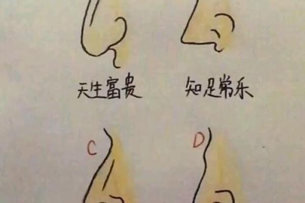 男生的鼻型与命运：你是否也该关注这“面相”秘密？