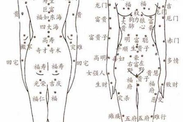 左侧肚子上有痣：命运与个性解读之旅