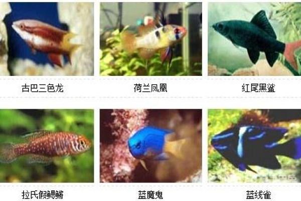 土命人适合养殖的种类与技巧分析