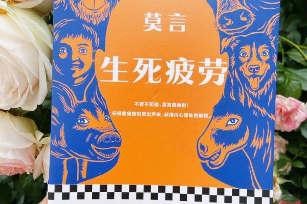轮回与命理：探寻生命的轮回之道与命运的奥秘