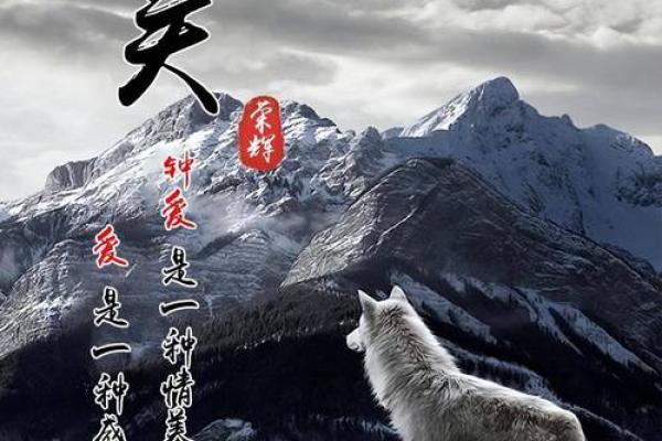 强木命人士适合的头像选择指南，展现个性与特色