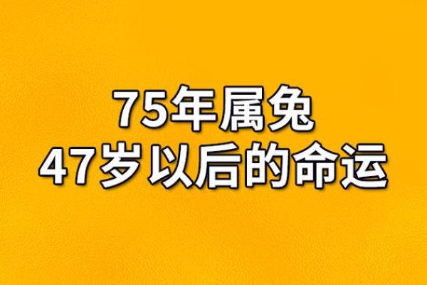 解读1975年出生的命运：如何找寻人生的方向与平衡