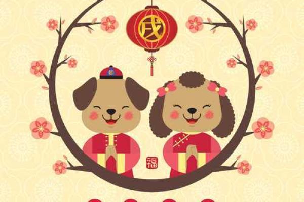 98年出生的人命配什么生肖，探寻命理与运势的奥秘
