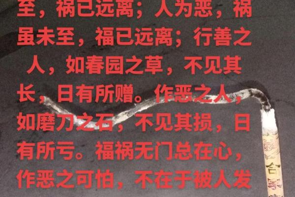 探寻命运的意义：为何我们需要在佛祖足下倾诉心声