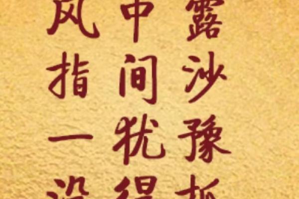 解密“命心”字谜：探秘中华文化中的字形奥妙