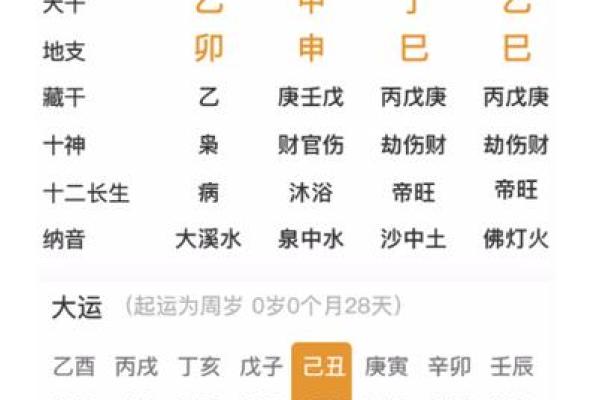 2012年：命理中的“壬辰”年，探寻命运与生活的潜在联系