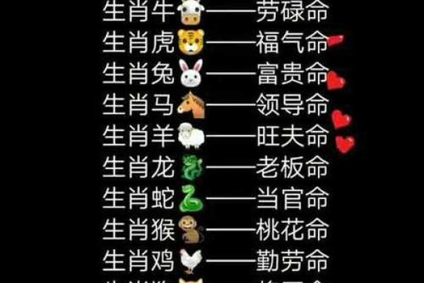 2019年生肖与命运：解密你的命格与人生走向！