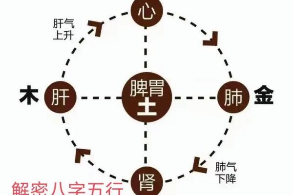 缺水的人与命理：探索五行与命运的奥秘