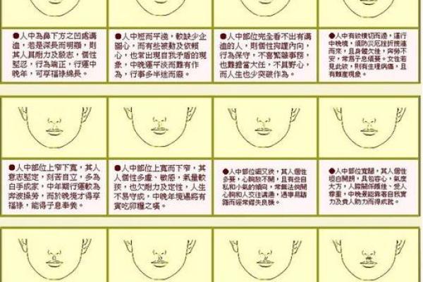 1954年出生的人命运解析：从五行看人生轨迹与性格特征