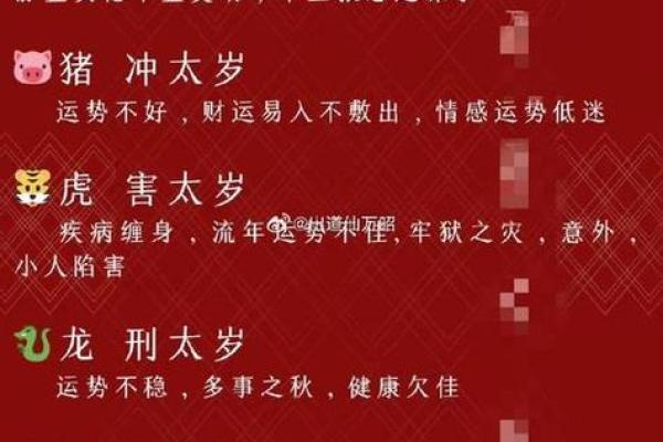 虎年命运解析：2022年的运势与生活指南