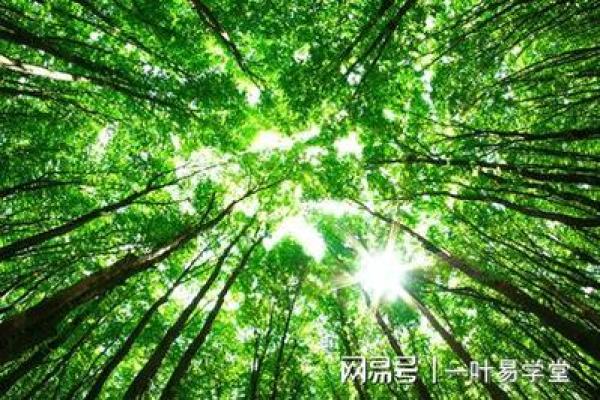 大海水命的忌讳与生活智慧：如何趋吉避凶
