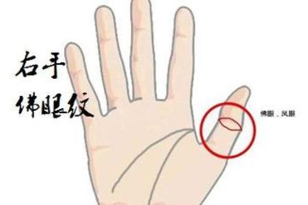 2021年牛牛的命运解析：运势、性格与未来展望