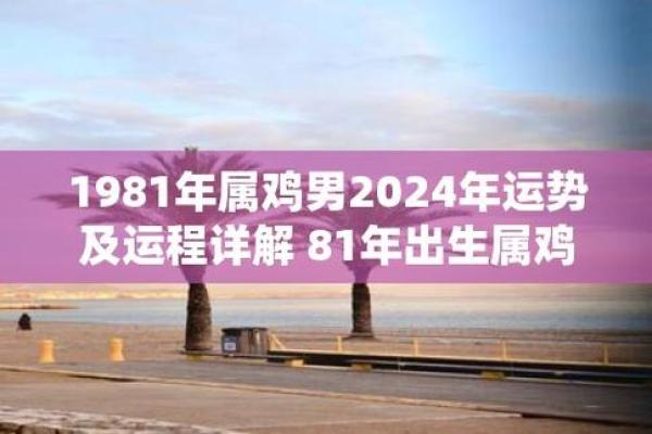 1981年鸡年出生的人命运与性格解析