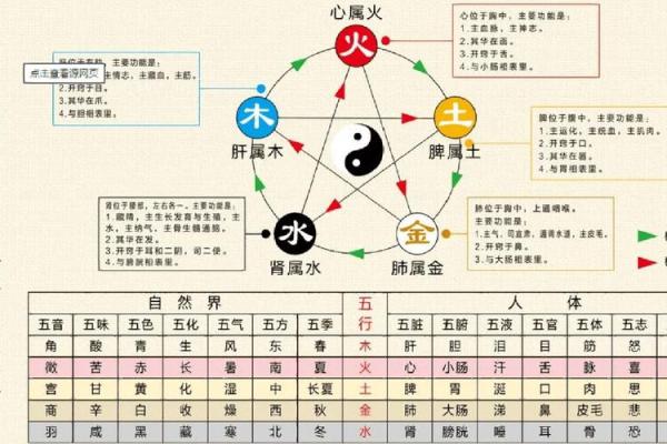 命理分析：你的身体缺什么？揭秘五行与健康的奥秘