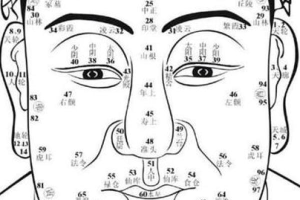 71年出生的男人：独特的命运与人生轨迹
