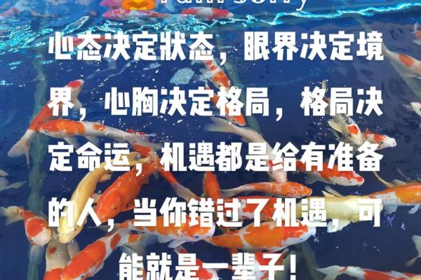 1981年9月：命运交响曲中的人生选择与机遇