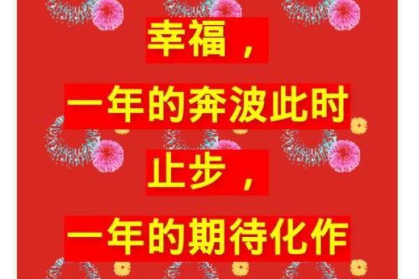 2019年猪年出生的命理探秘：你的命运与性格如何交织？