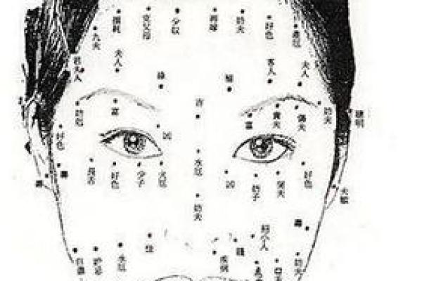 女人什么脸型是富贵命？揭示面相背后的秘密