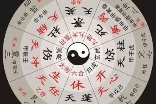 属龙命理五行解读：龙年的命运与五行的深刻联系