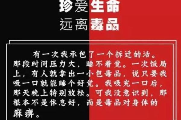 王麻子的传奇冒险：一个普通人的不平凡故事