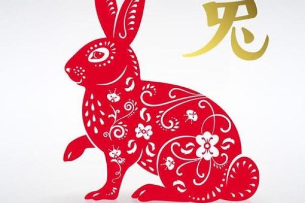 兔年出生25岁的人属什么命？详解命运与性格特点！