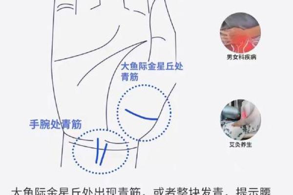 从手筋看命运：揭秘女人手掌的秘密与命理解析