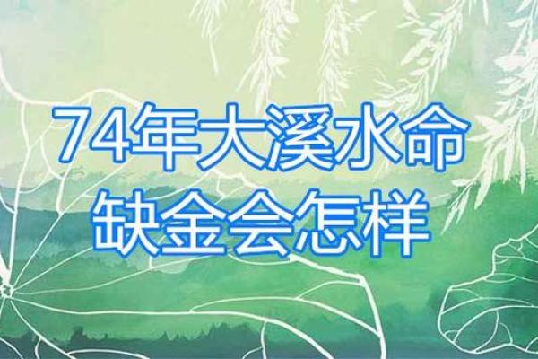 水命人喜忌解析：水命之人的生活哲学与运势指导
