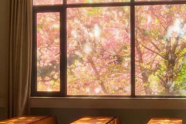 探索辛巳日主的命理奥秘：耀眼人生与内在智慧的交织