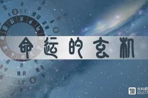 甲戌年冬月出生的人命理解析与人生指导