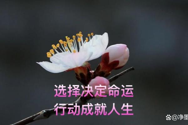 5月23日出生的命运解析：探索这个特别日子的性格与人生旅程