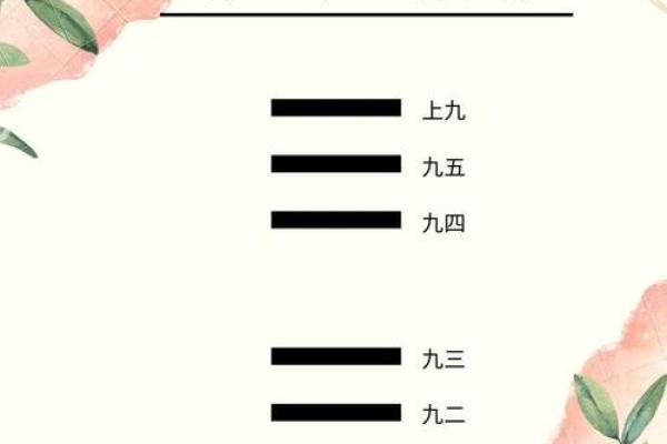 探秘1981年木鸡：命理中的智慧与人生启示