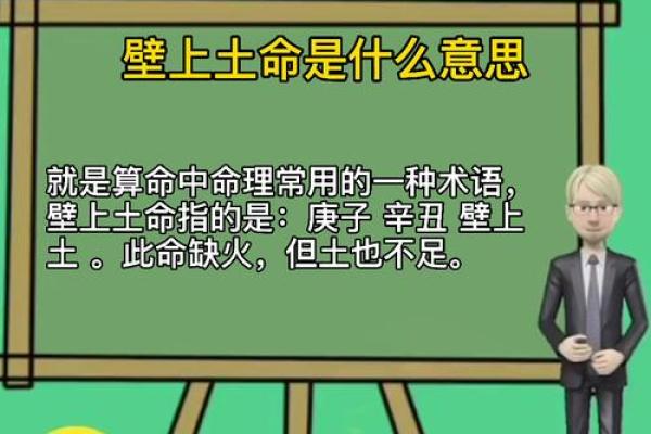 家中木命者的命理禁忌：规避旺火与土命的隐患