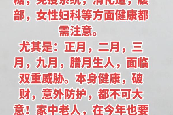 2004年的龙年：探索命理与人生的深意