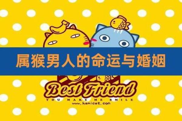 1980年出生的人属猴，了解属猴人的命运与性格特征！