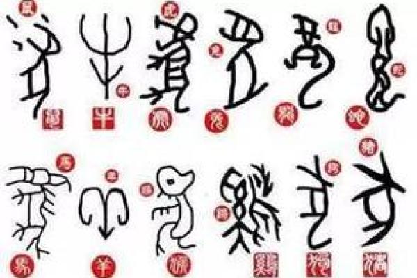 探秘1012宝宝命理：解读出生于2012年的孩子命格运势