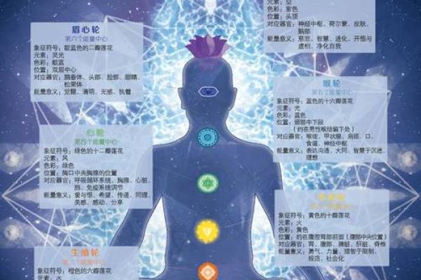 揭开98腊月虎的命理之谜，探寻生命中的成功密码
