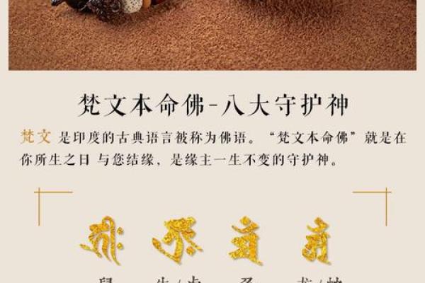 男木命适合的行业分析与发展建议