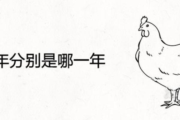 鸡年午时出生的命理解析与人生运势探讨