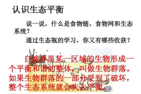 木命之人怕什么属性，探寻生活中的平衡与和谐