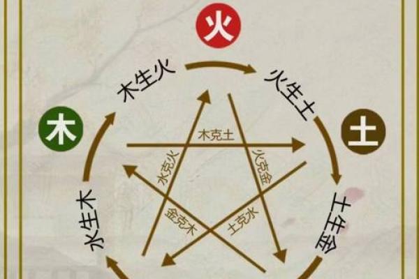 木命人缺什么补什么，五行相生相克的智慧解析
